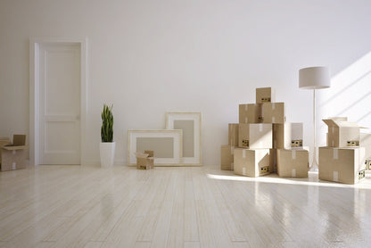 MOVE-ING CLEANING