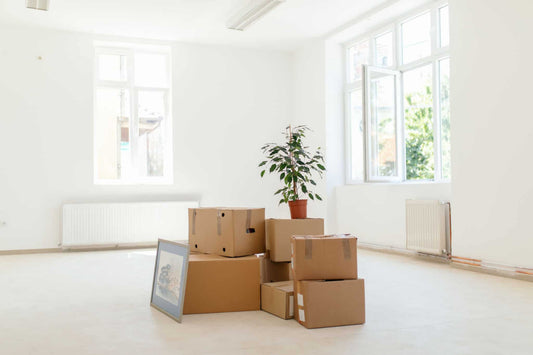 MOVE-ING CLEANING