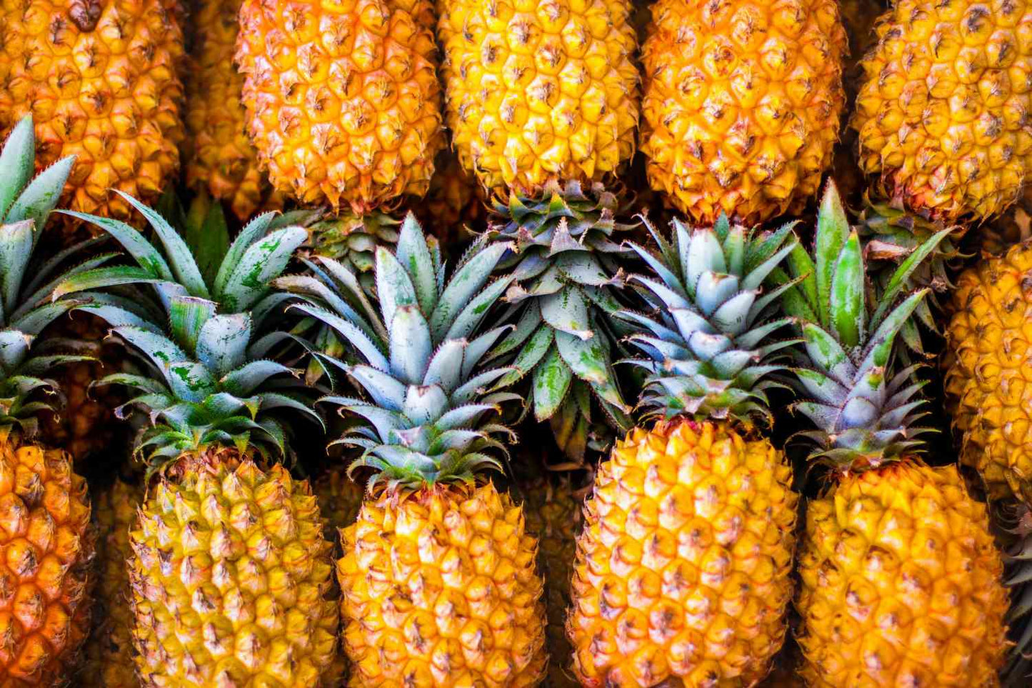 PINEAPPLE