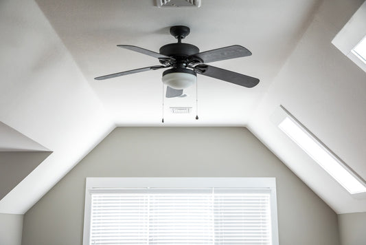 FAN CLEANING